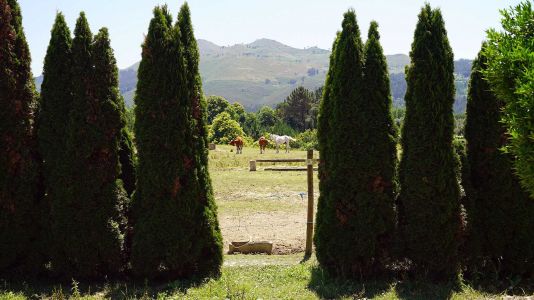 CASA DA SERRA - CERQUIDO VILLAGE