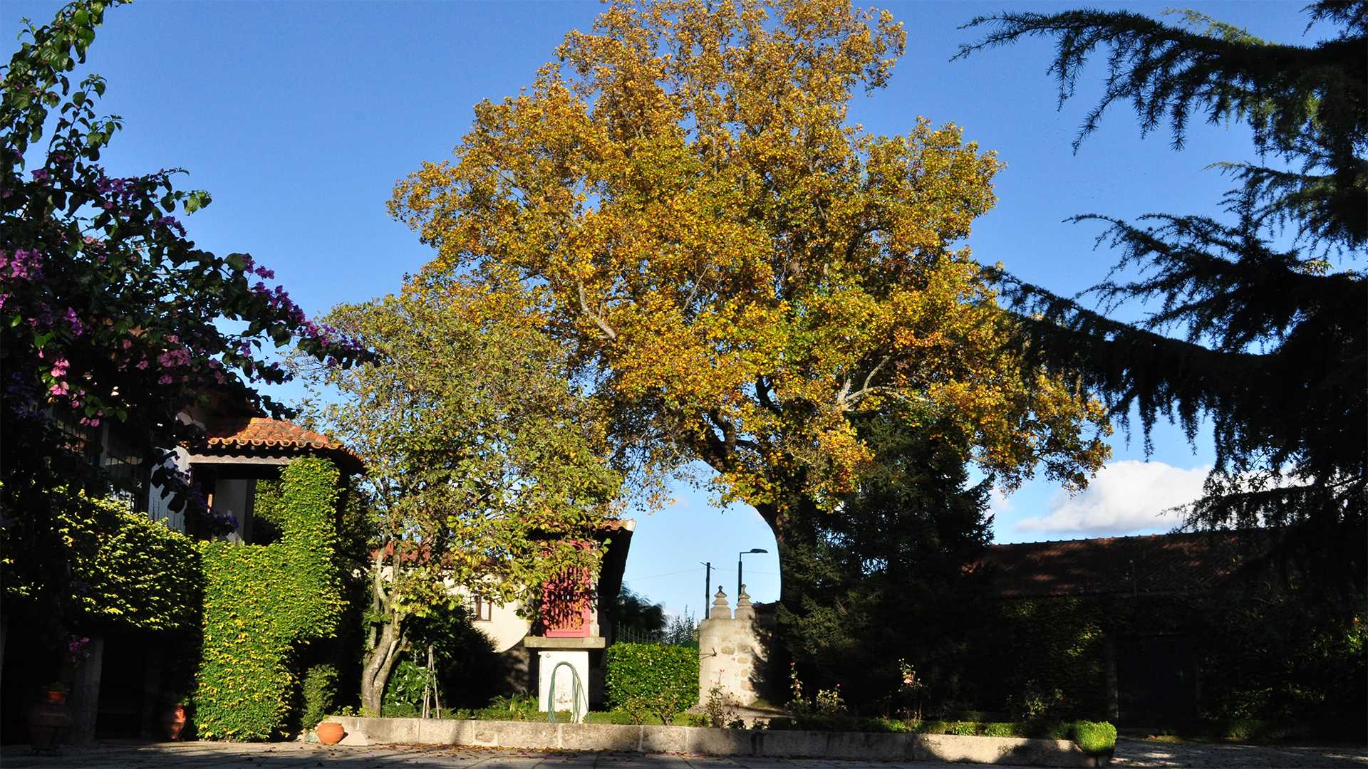 QUINTA DA PONTE DO LOURO