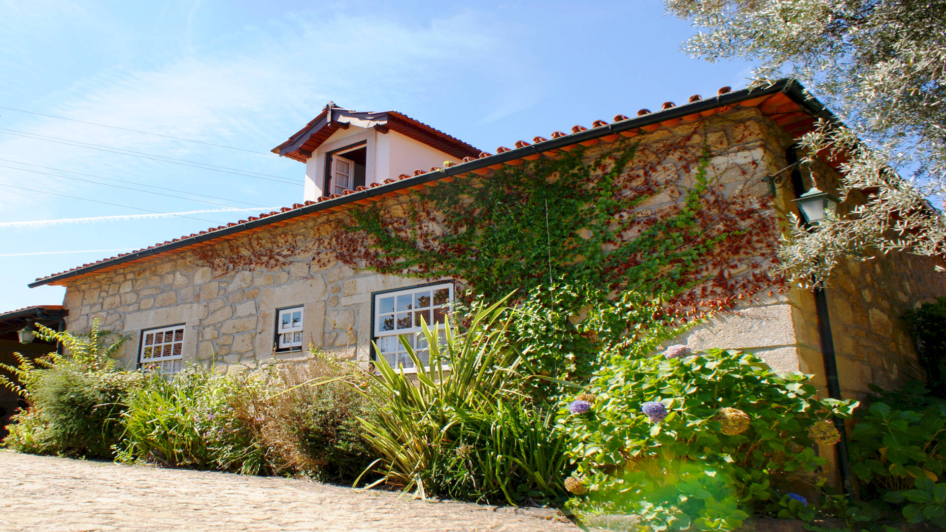 QUINTA DA ROSEIRA
