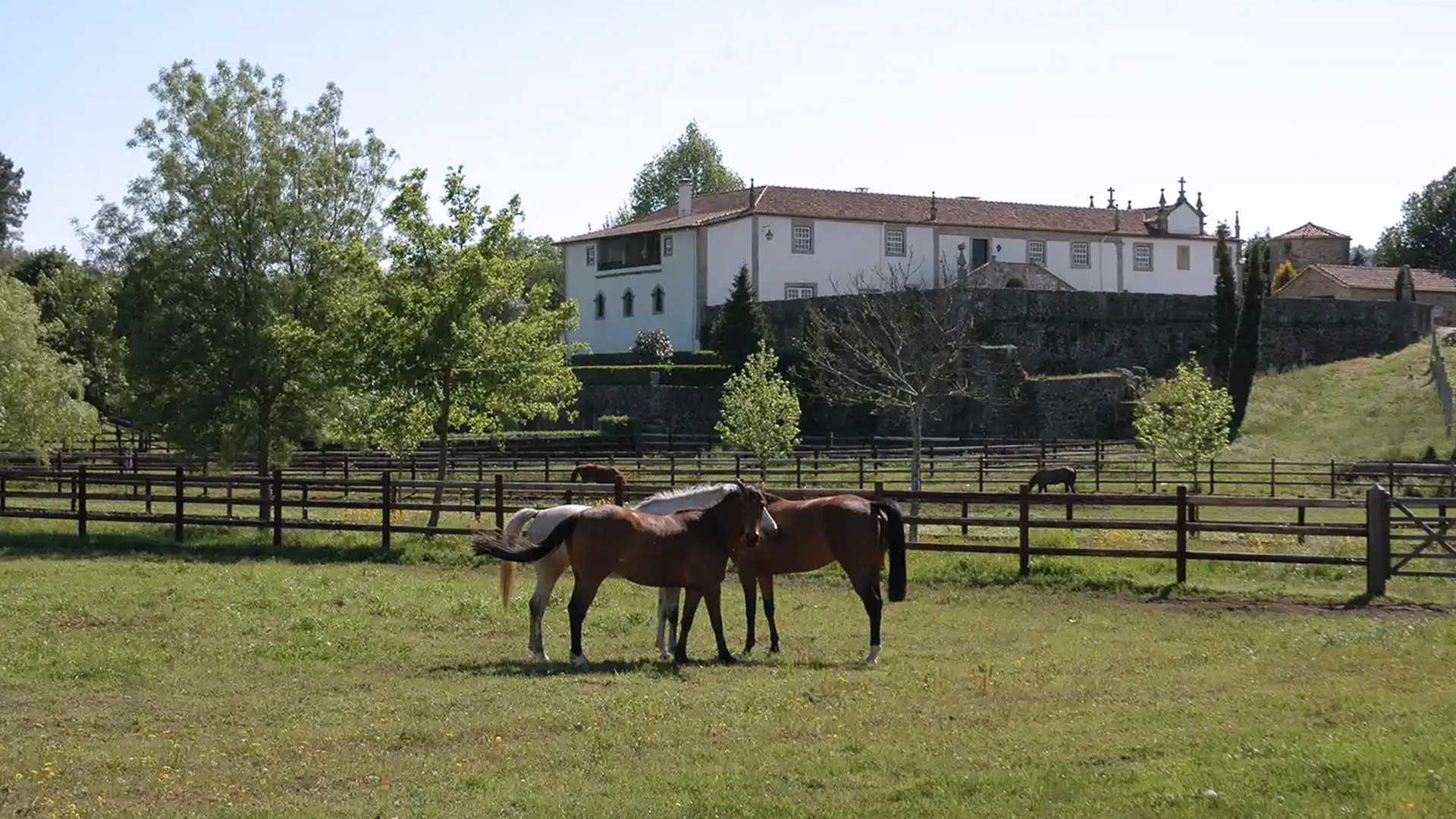 QUINTA DA CASA ALTA