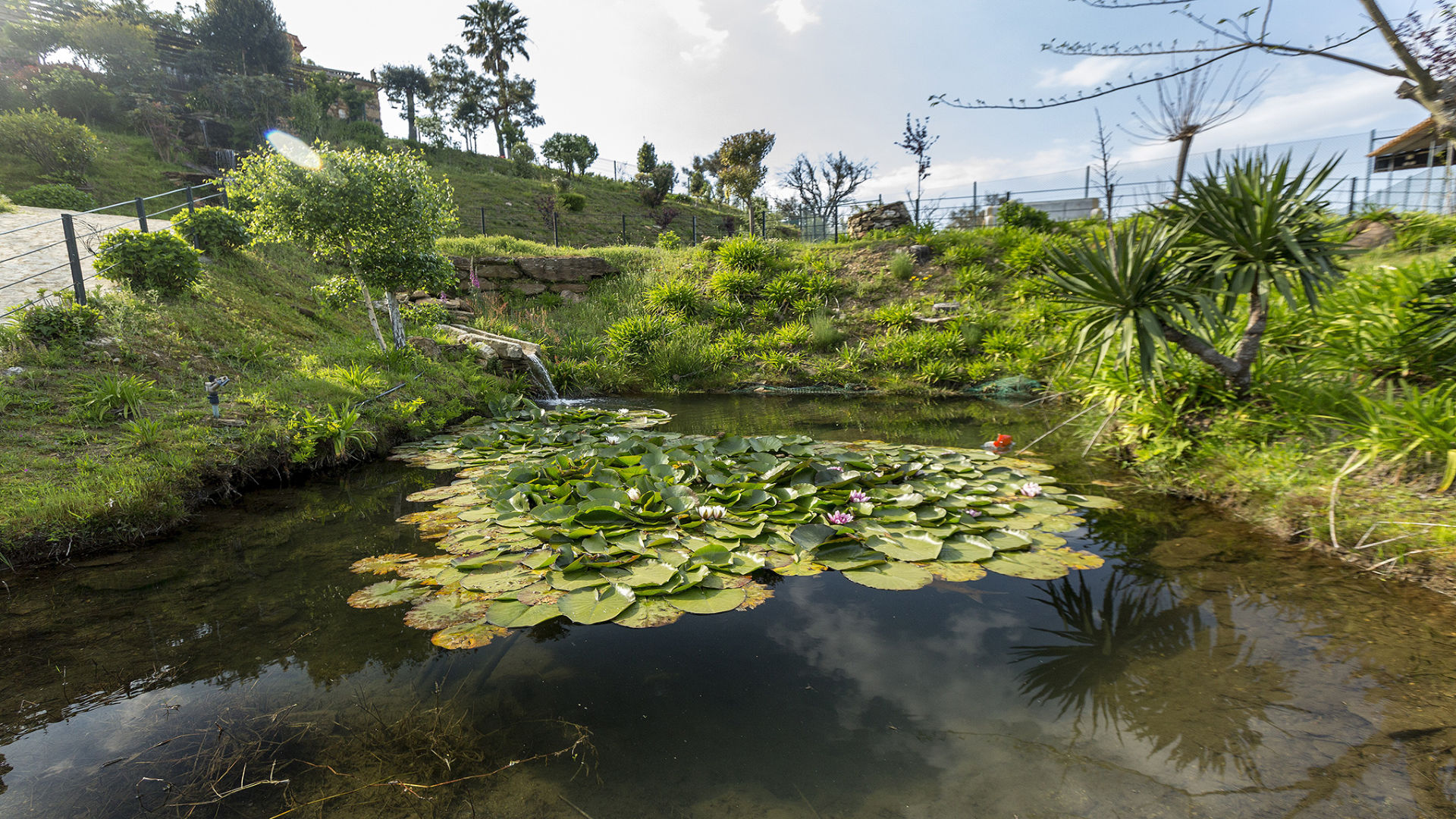 CASA DA ENCRUZILHADA