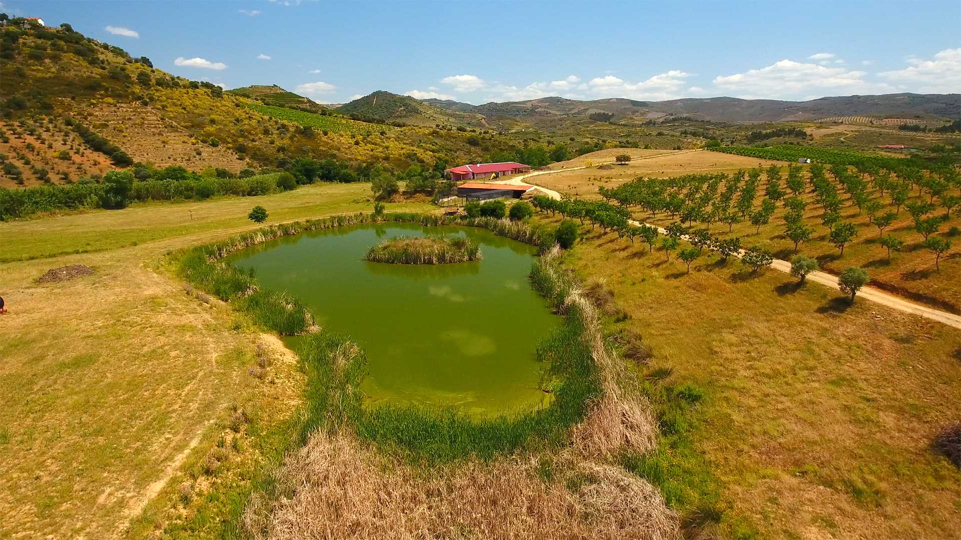 QUINTA DO BARRACÃO DA VILARIÇA