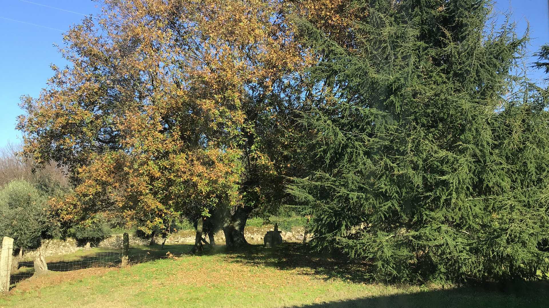 QUINTA DO SOBREIRO DA FACHA