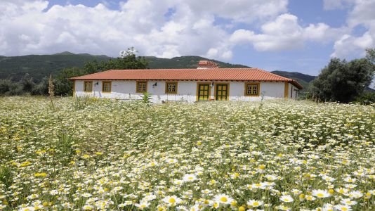 QUINTA DE SÃO SEBASTIÃO