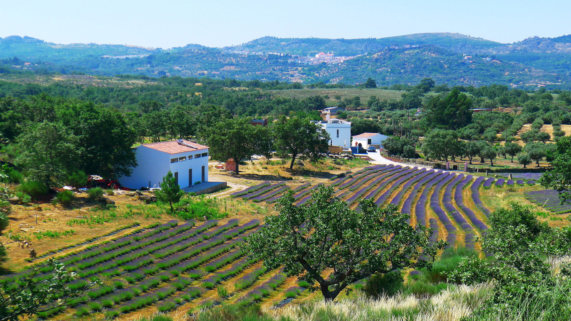 QUINTA DAS LAVANDAS