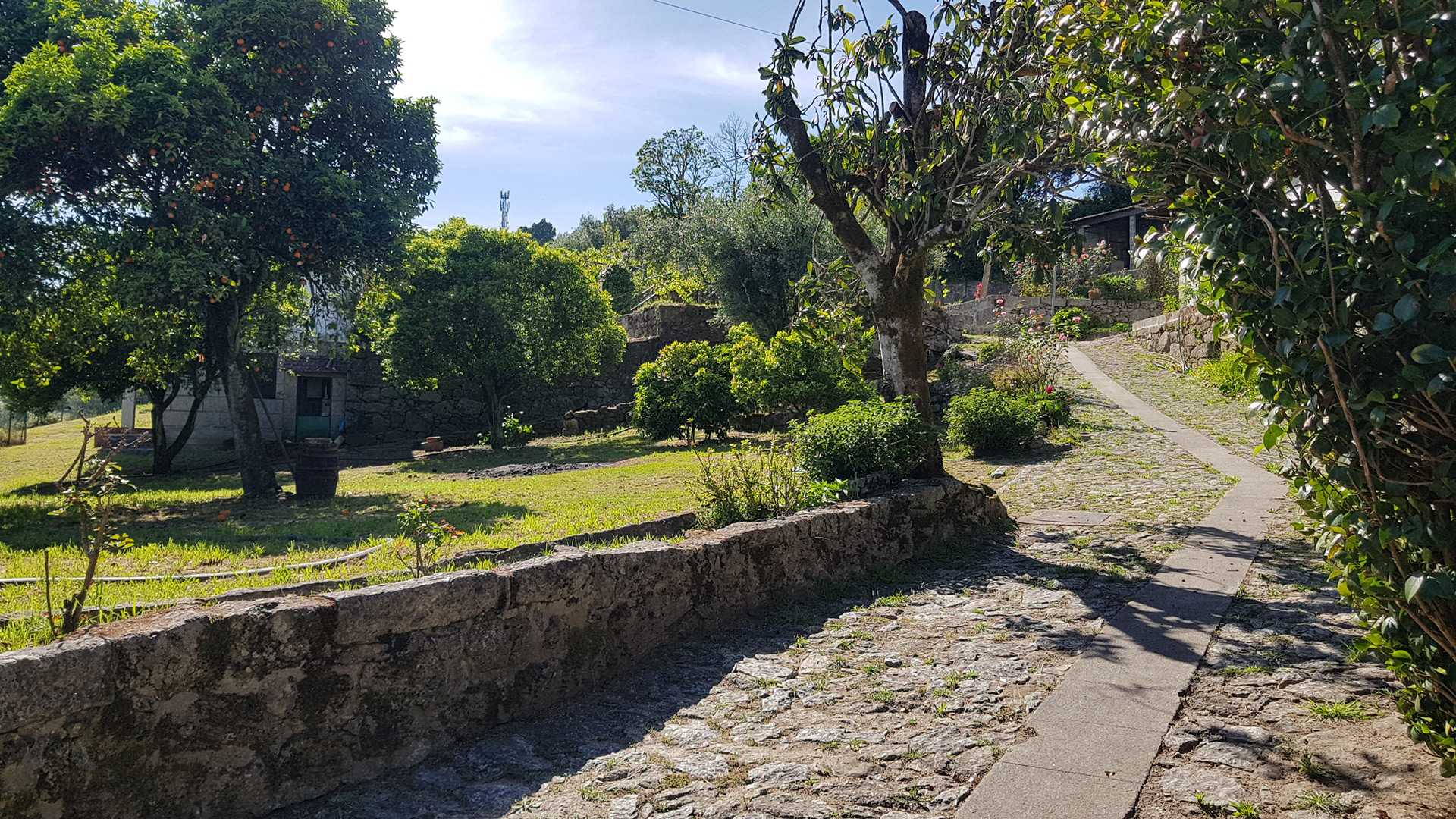 QUINTA DA PROVA