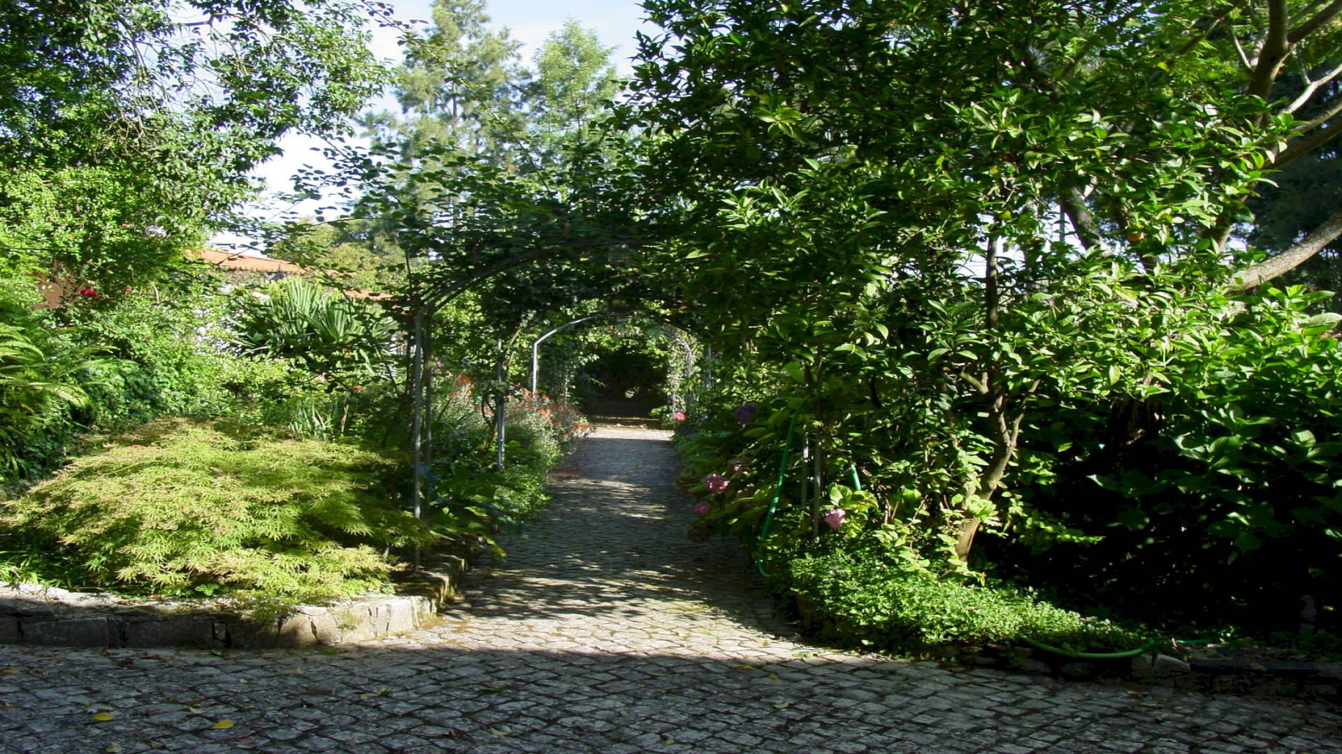 QUINTA DE SÃO LOURENÇO