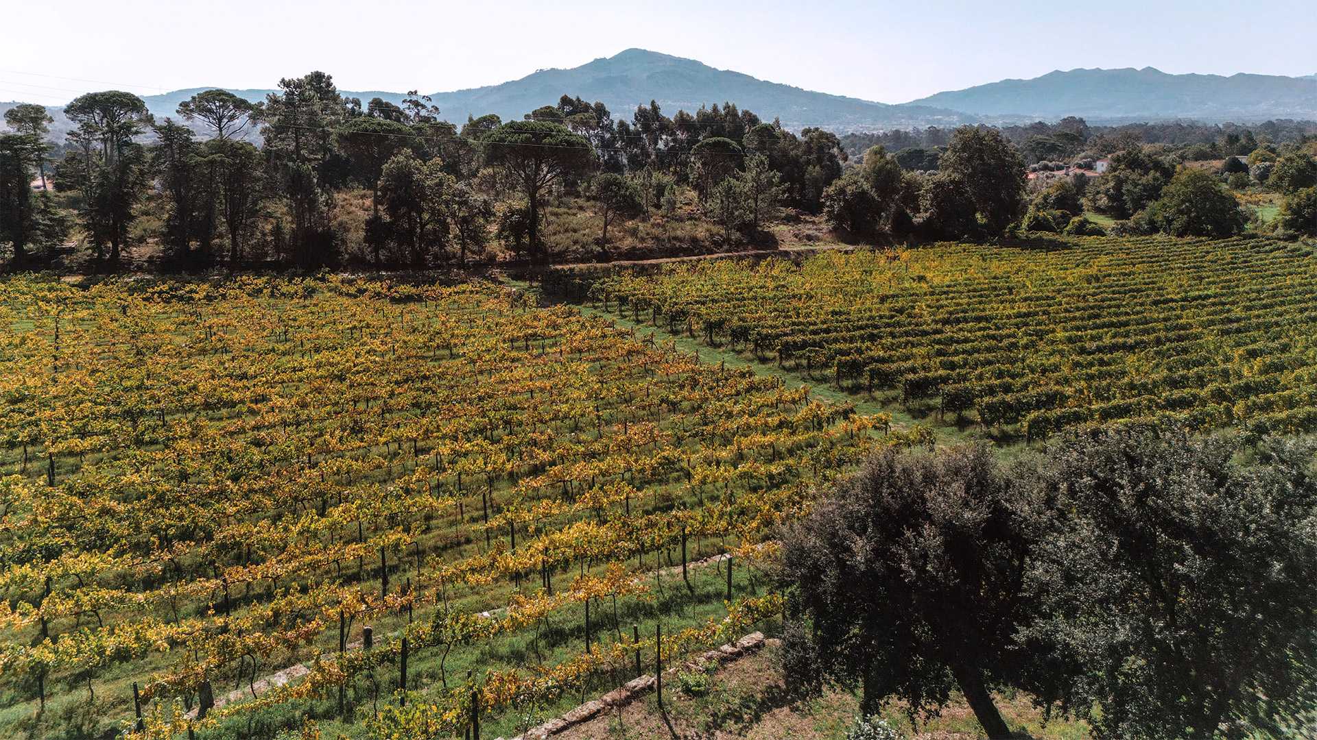 CONVENTO DE VAL PEREIRAS