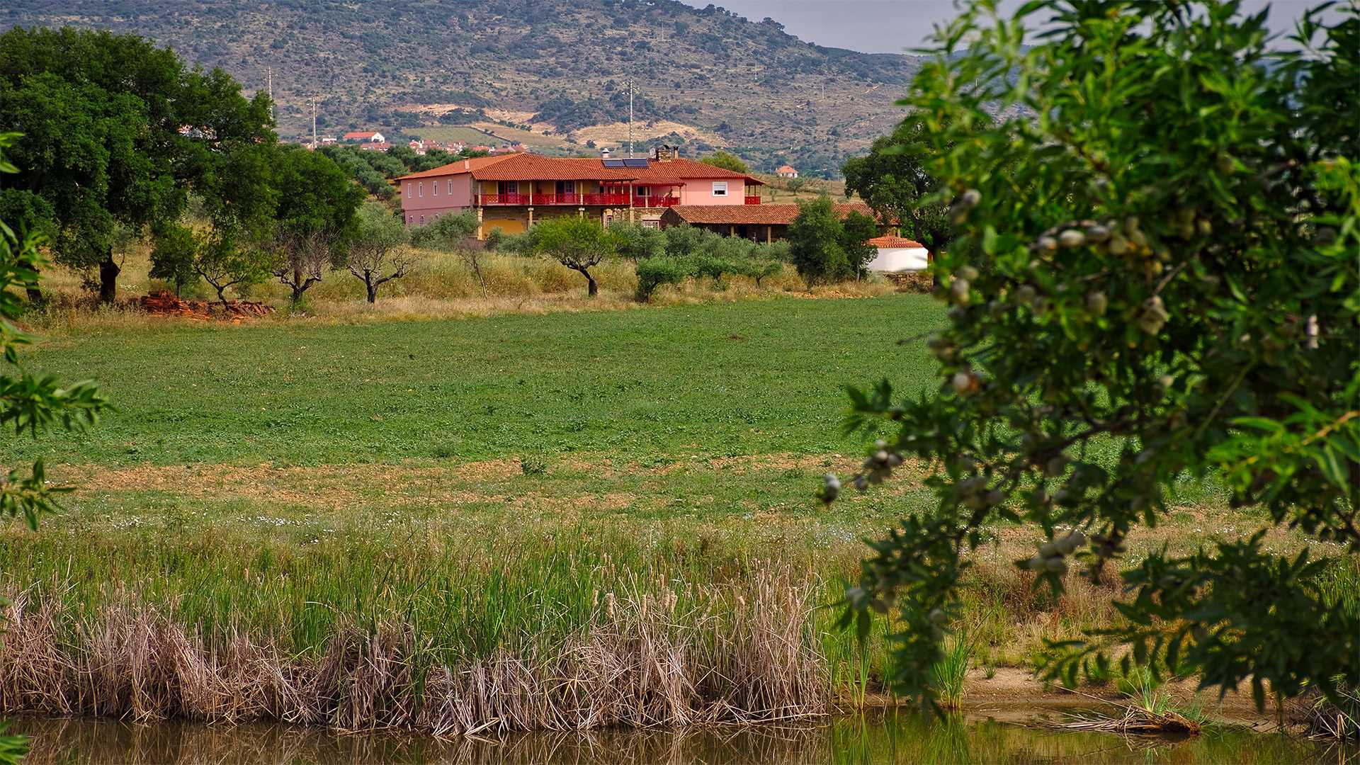 QUINTA DO BARRACÃO DA VILARIÇA