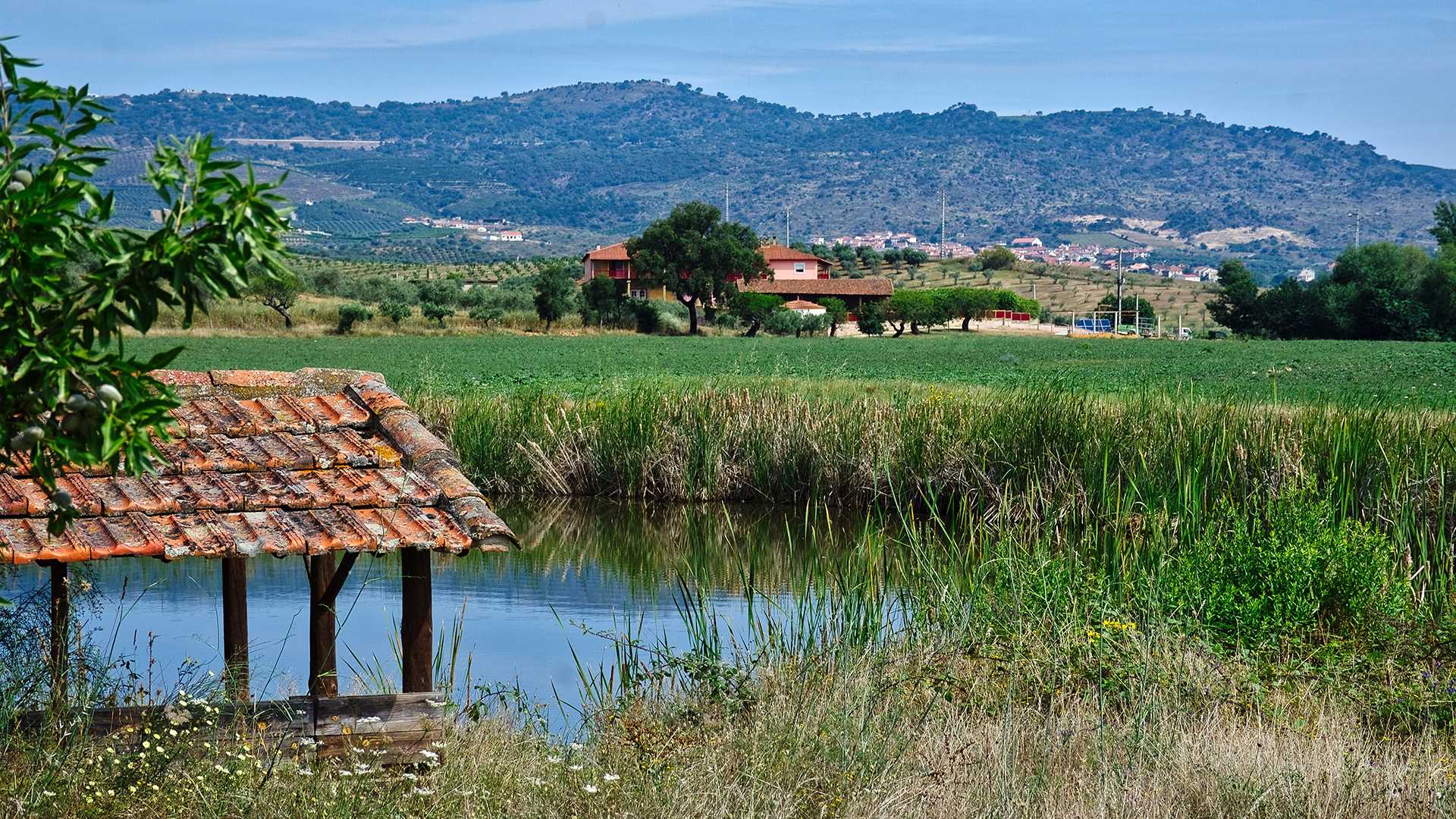 QUINTA DO BARRACÃO DA VILARIÇA