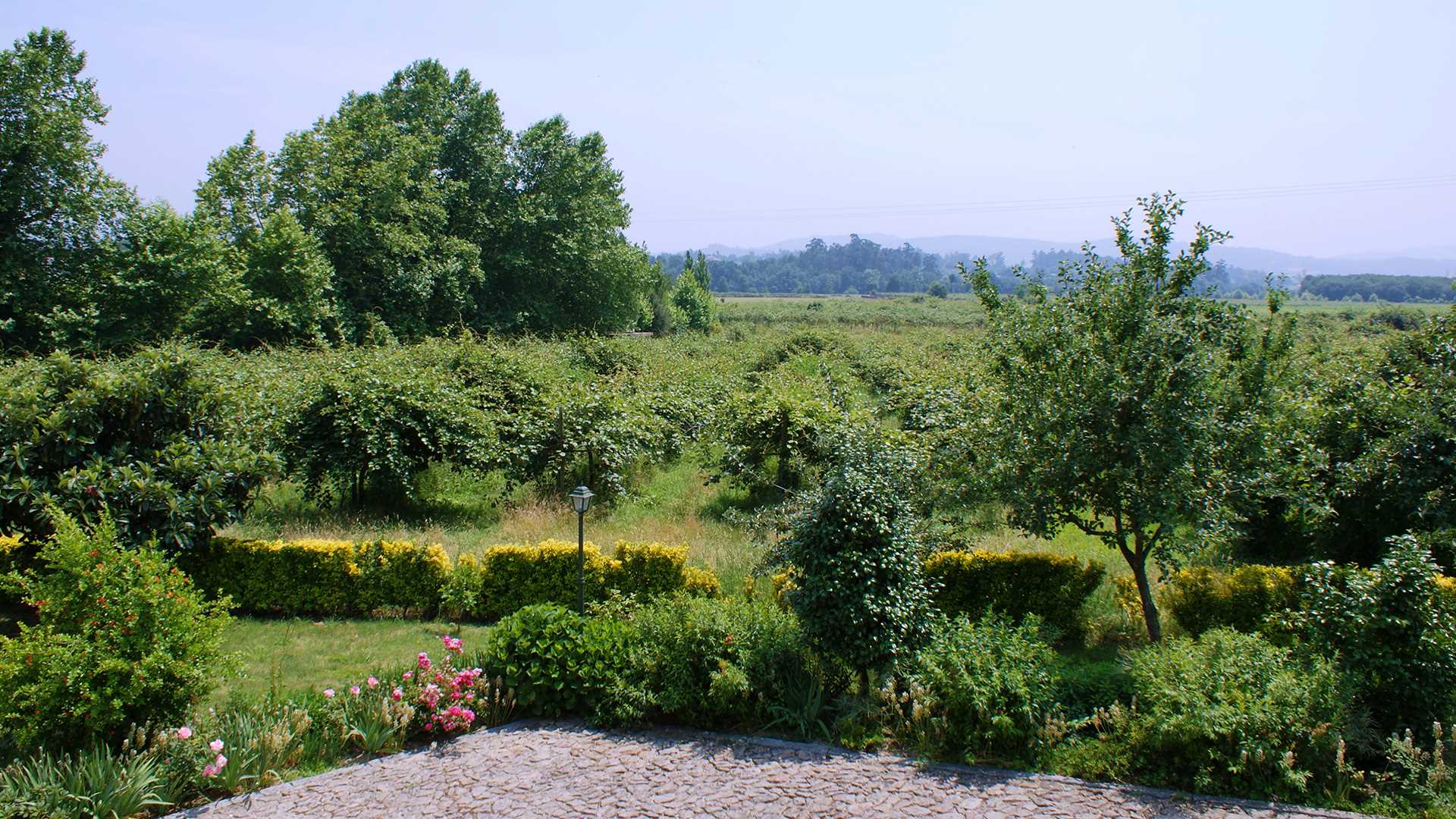 QUINTA DE SÃO BENTO