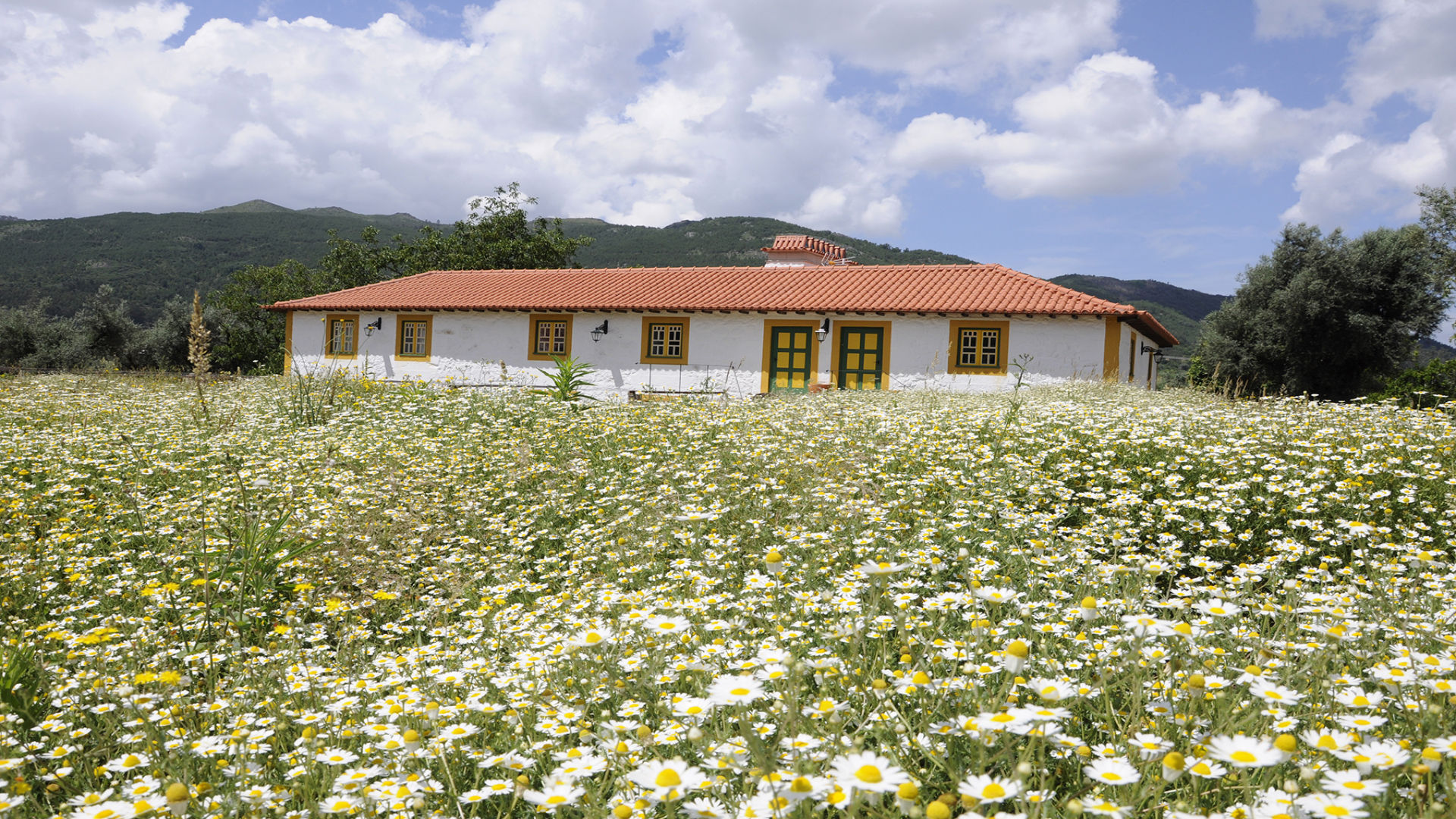 QUINTA DE SÃO SEBASTIÃO