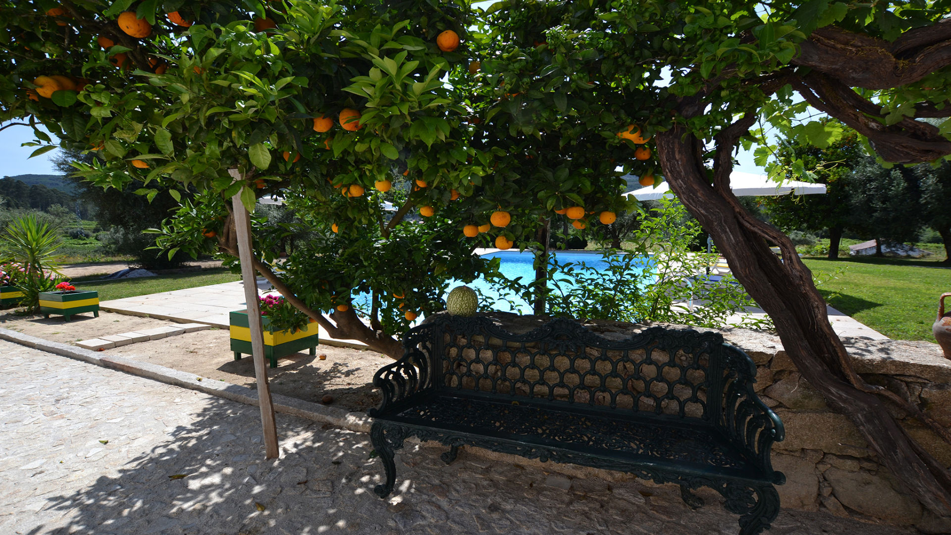 QUINTA DE SÃO SEBASTIÃO