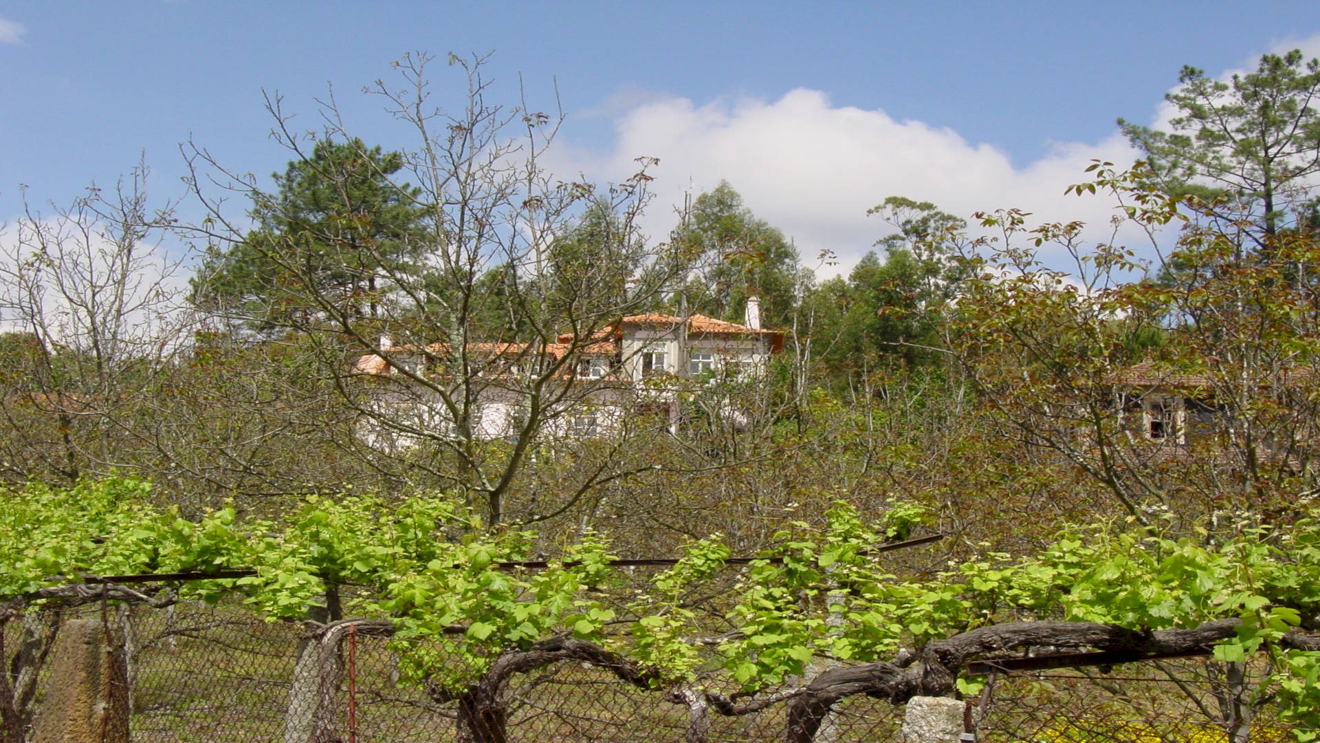 QUINTA DA PICARIA