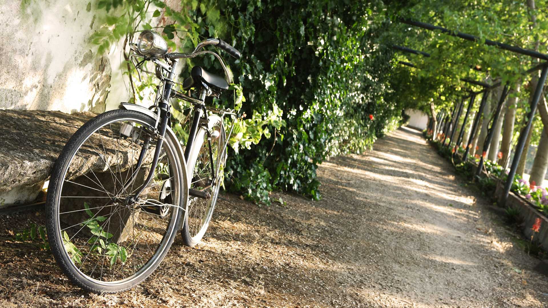 QUINTA DA PRAIA DAS FONTES