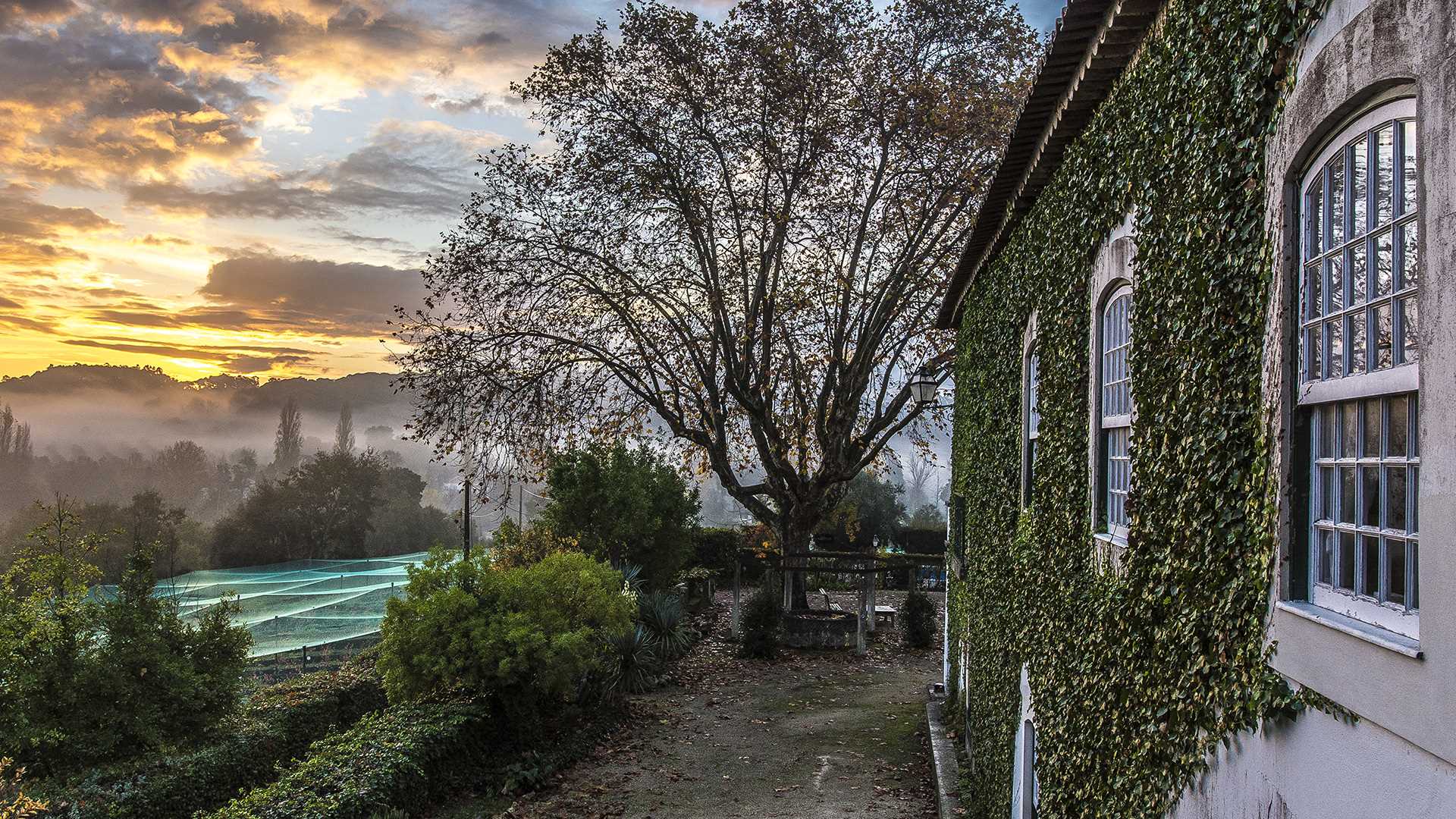 QUINTA DA ALCAIDARIA-MÓR