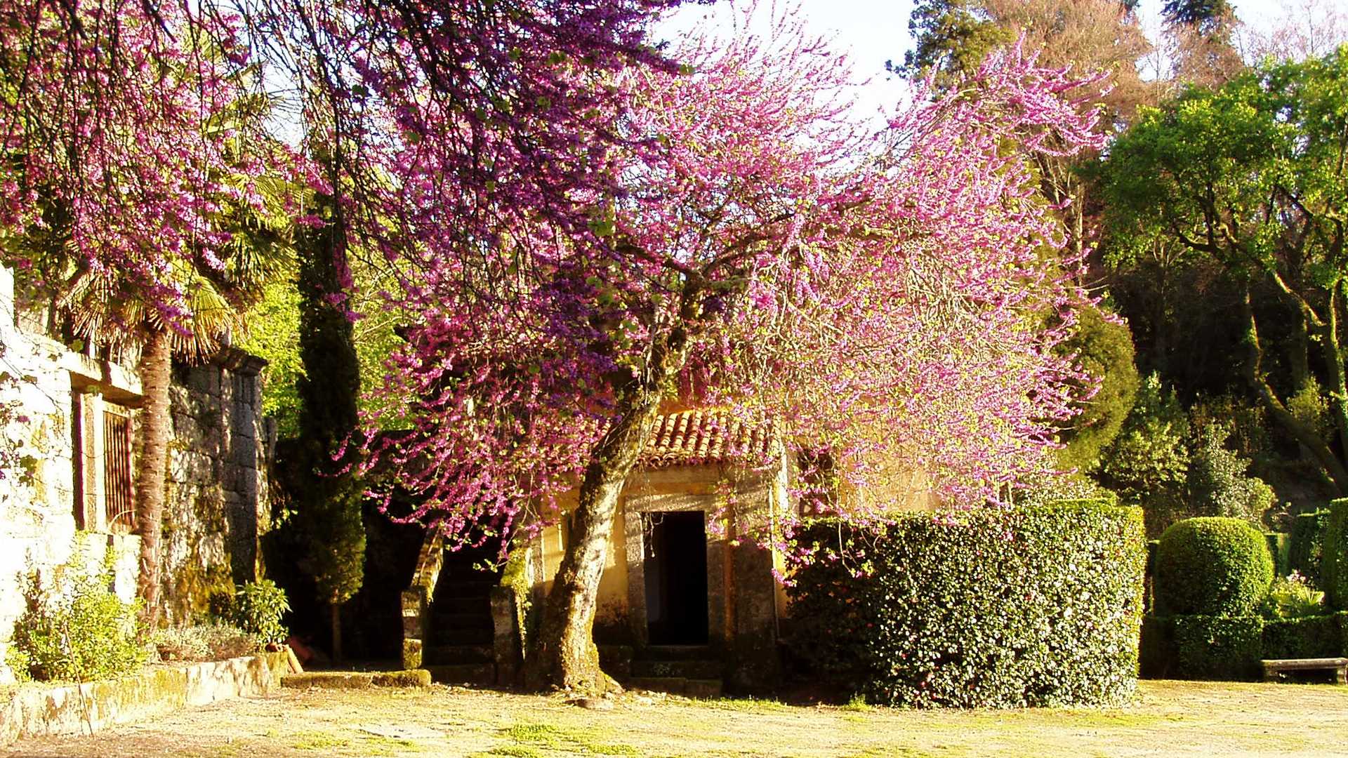 PAÇO DE SÃO CIPRIANO