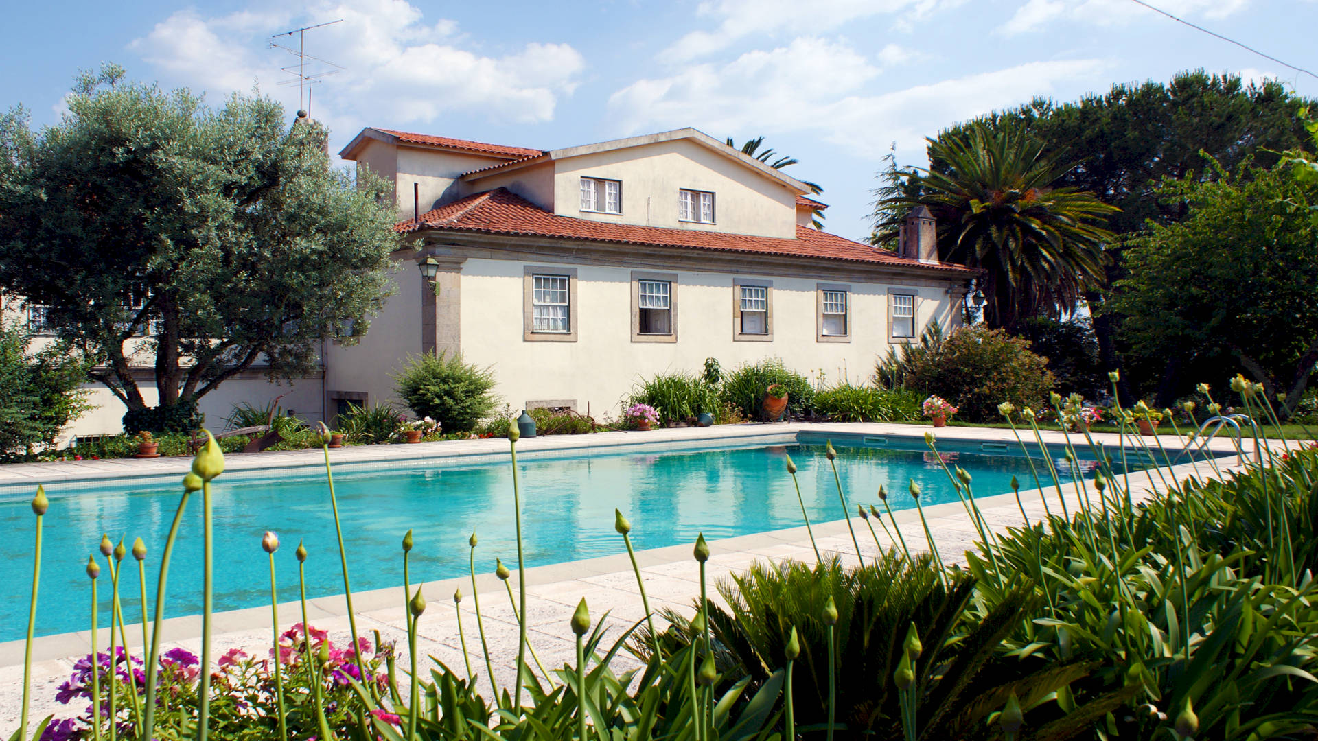 QUINTA DE SÃO CAETANO