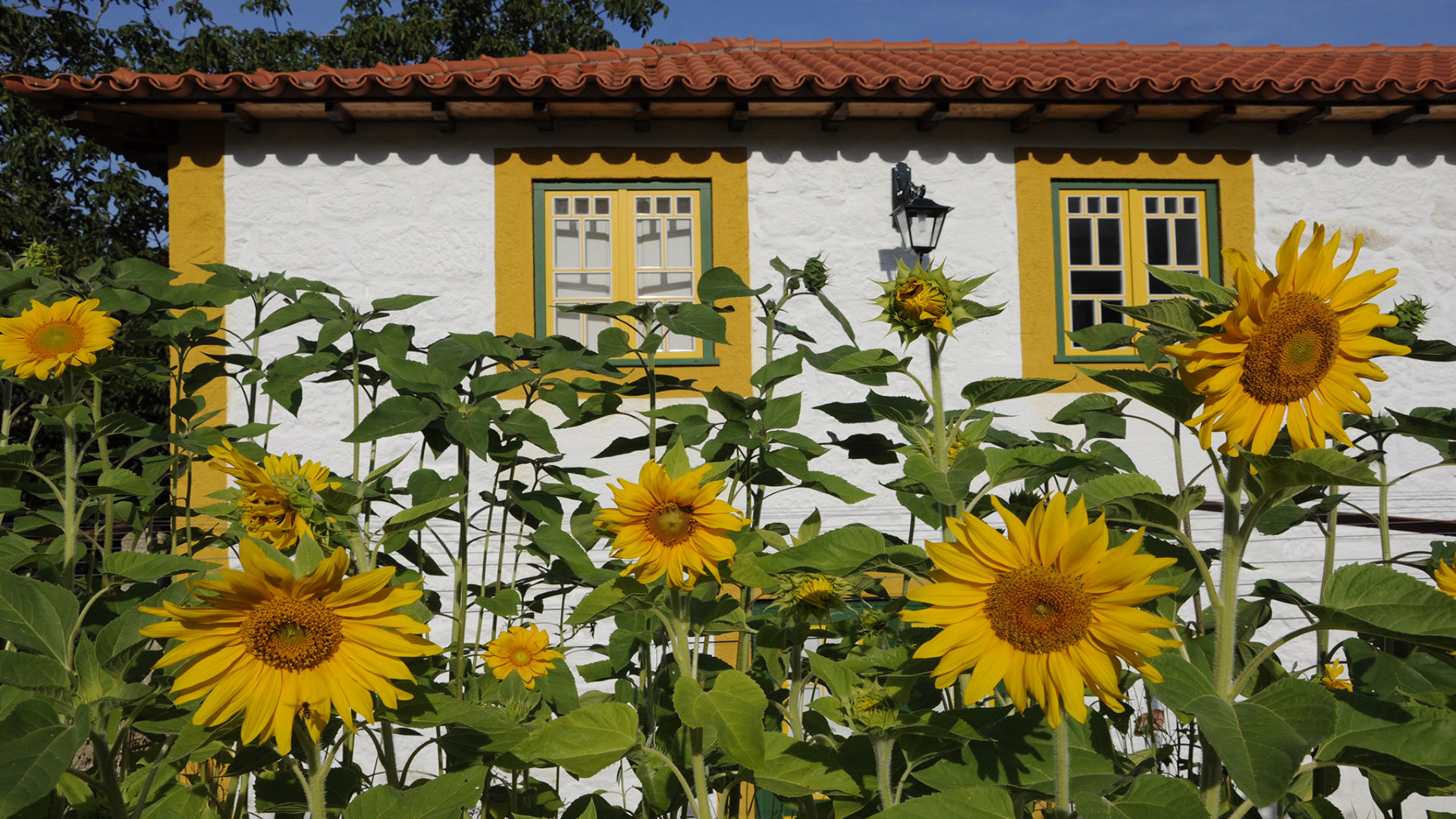 QUINTA DE SÃO SEBASTIÃO