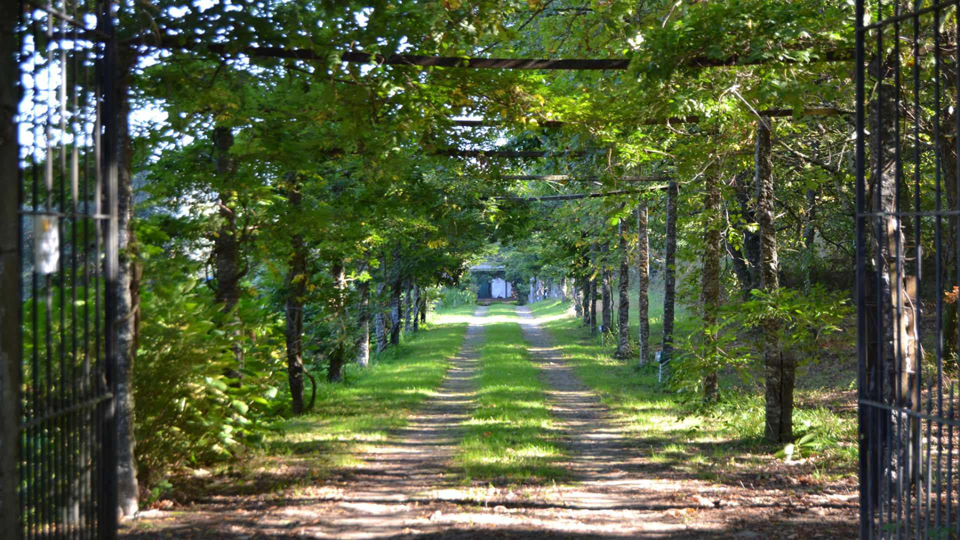 QUINTA DO AMEAL - ENOTURISMO