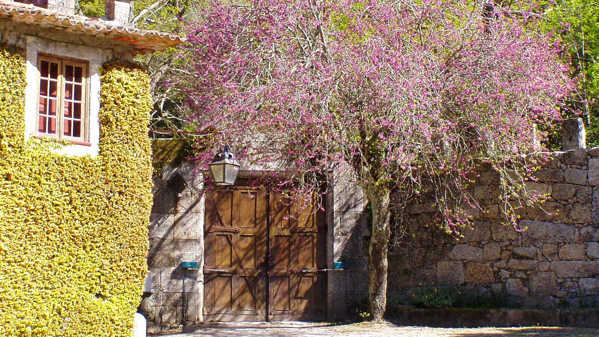 PAÇO DE SÃO CIPRIANO