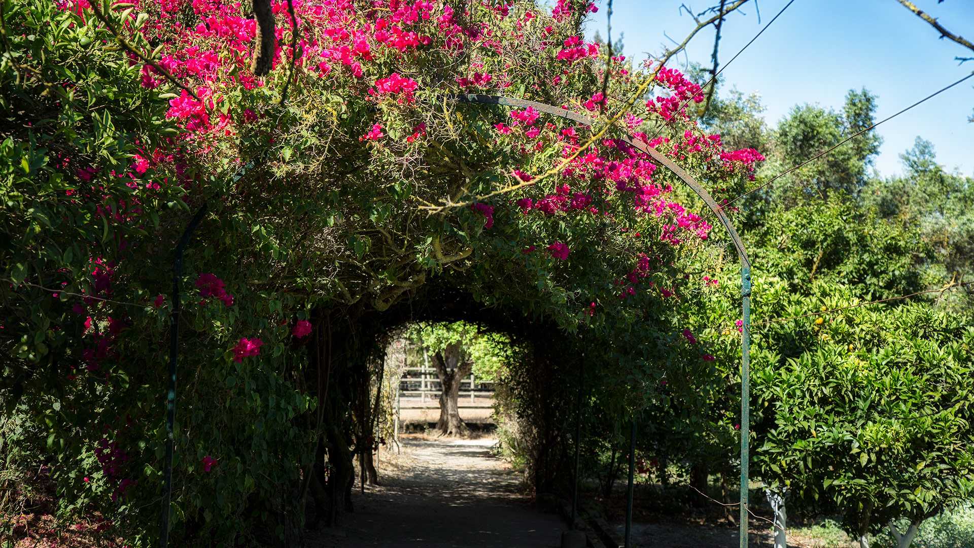 QUINTA DA PRAIA DAS FONTES