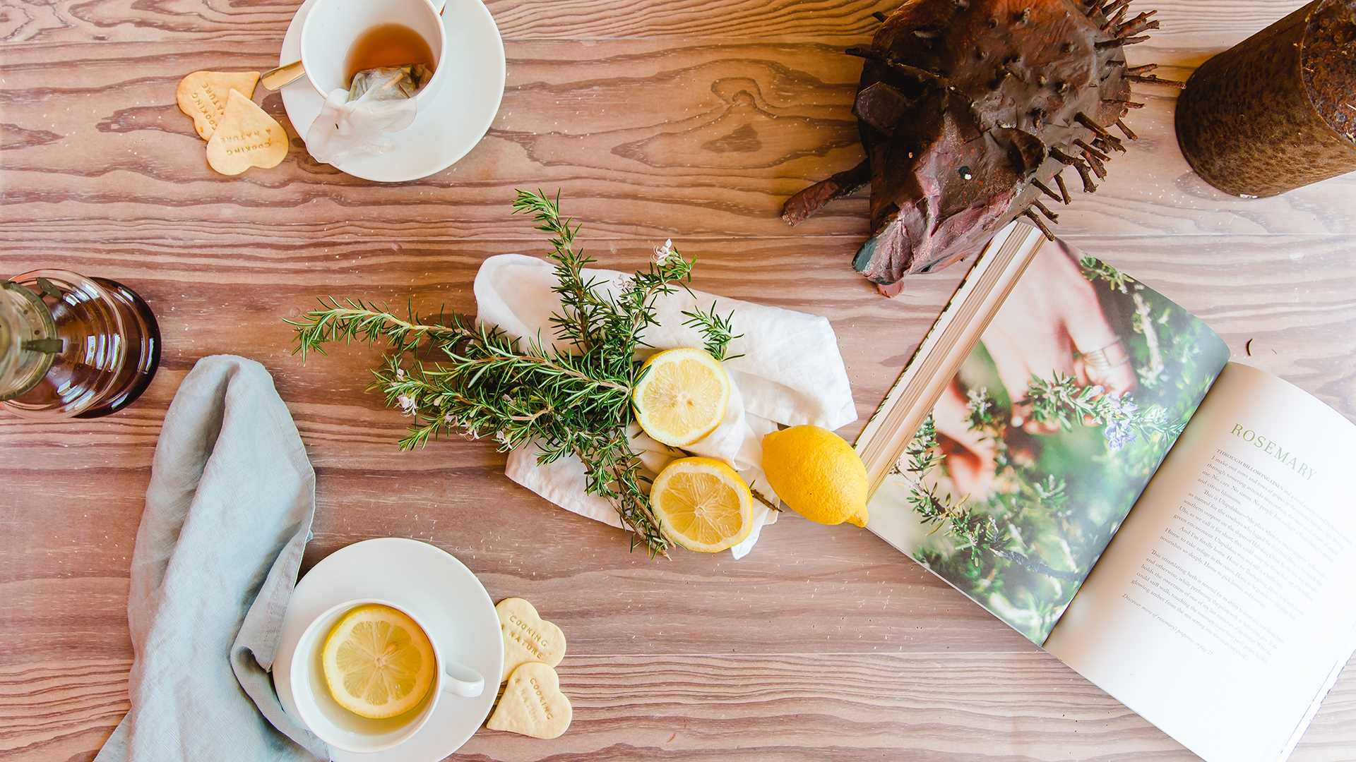 CASA The Nest by Cooking and Nature