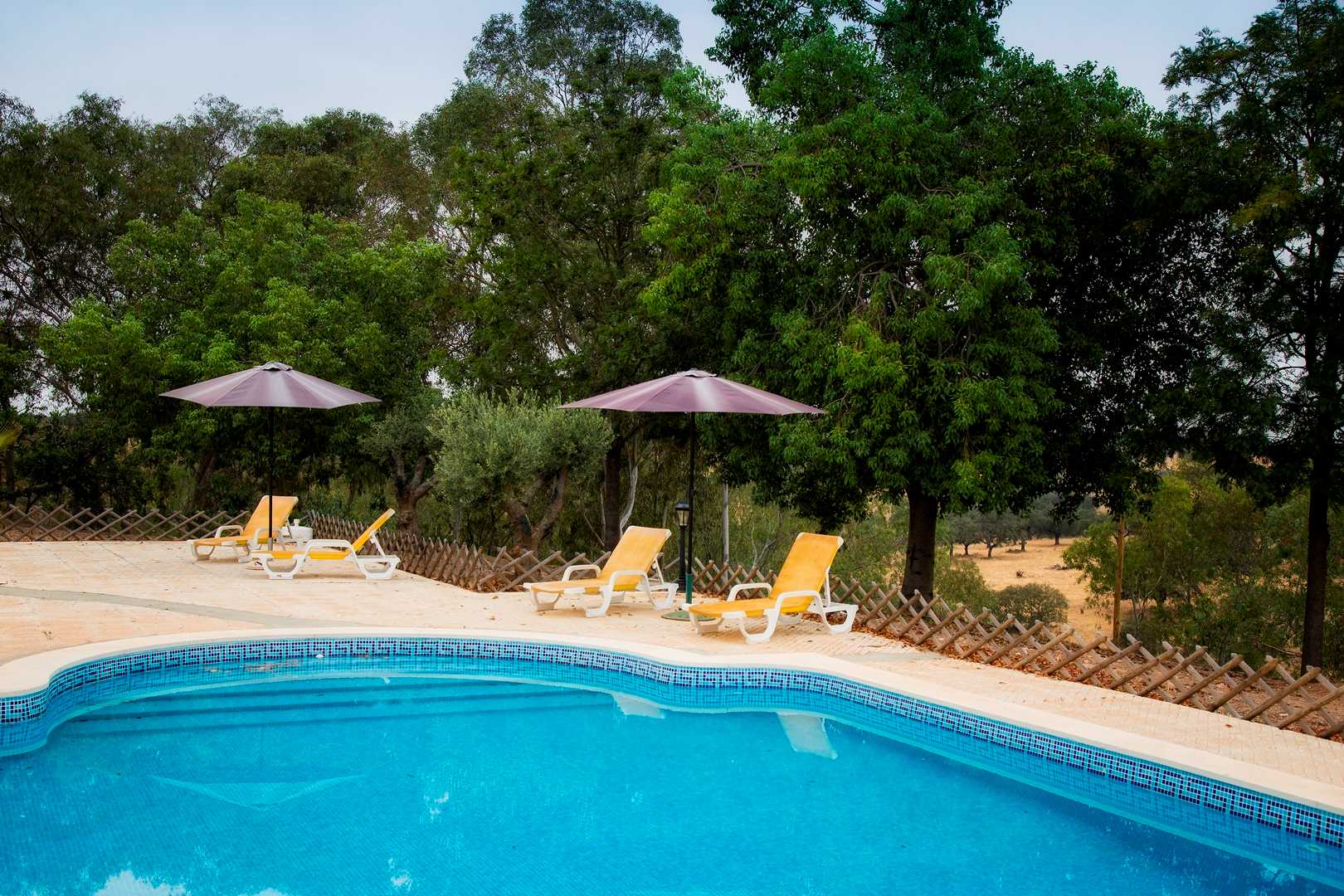 MONTE DA CORTE LIGEIRA