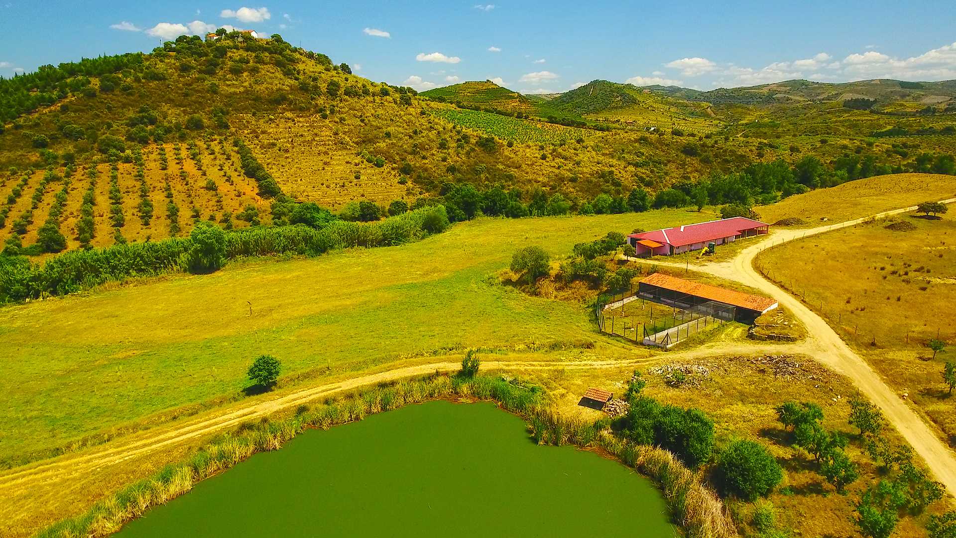 QUINTA DO BARRACÃO DA VILARIÇA