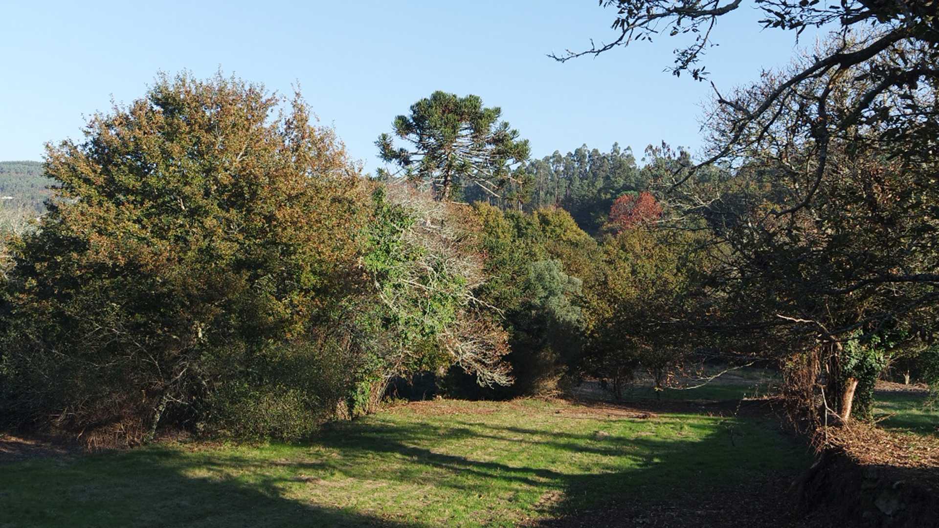 CASA QUINTA DO CRASTO