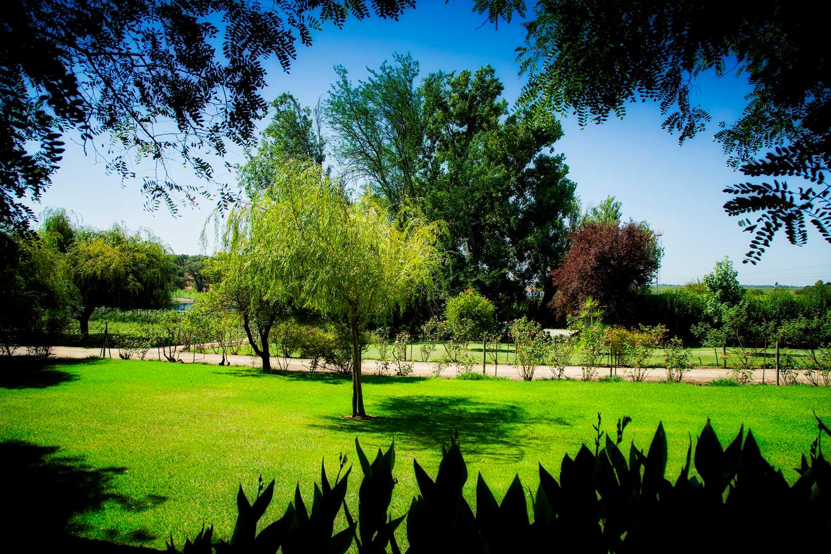 PALÁCIO DE RIO FRIO