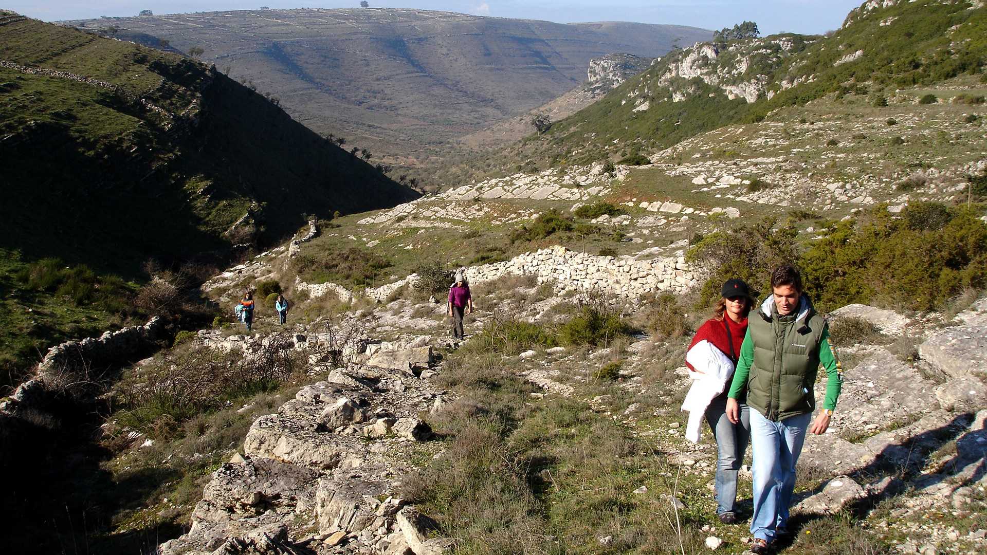 CASA The Nest by Cooking and Nature