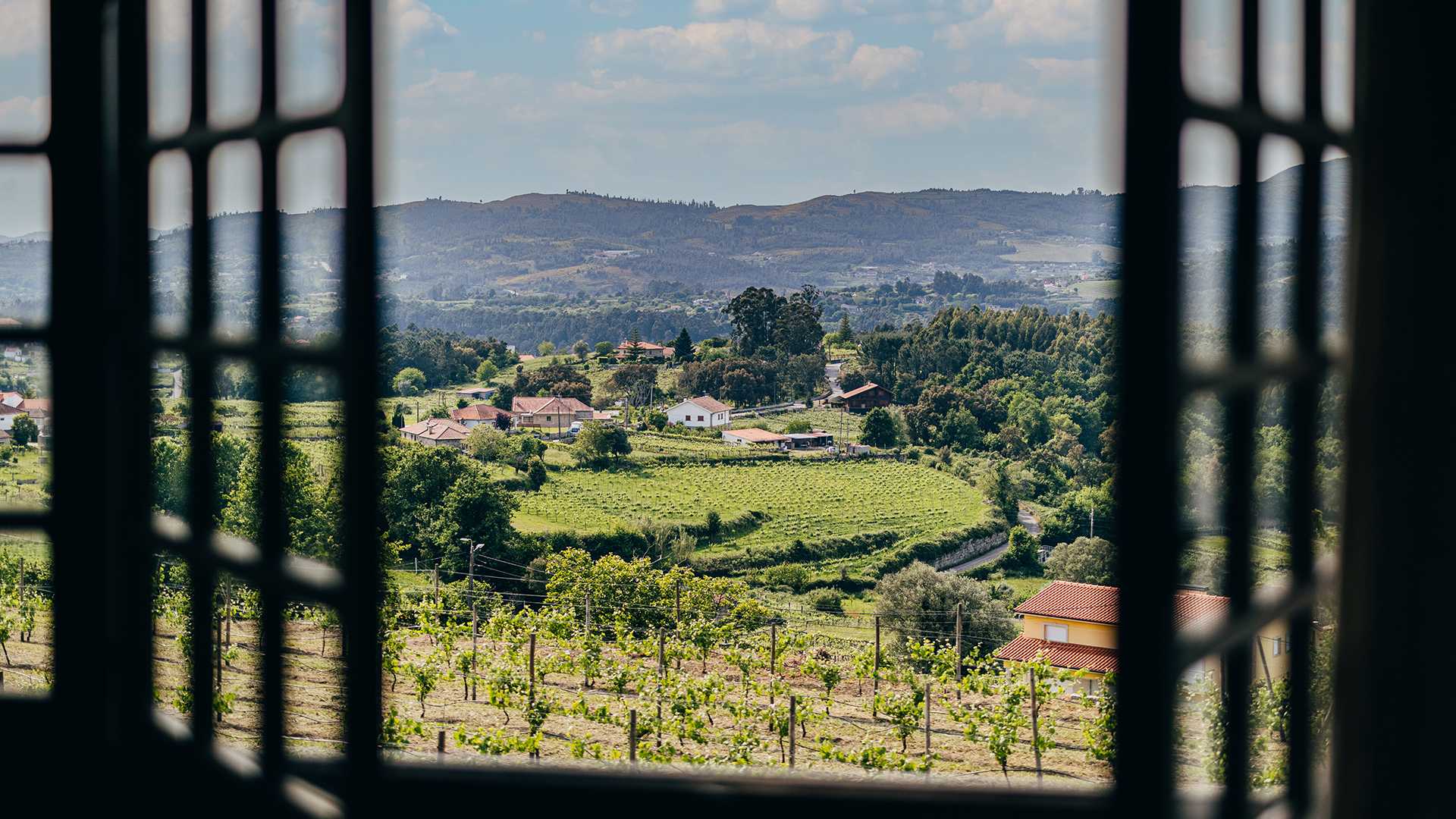 QUINTA DE SANTO ANTÓNIO