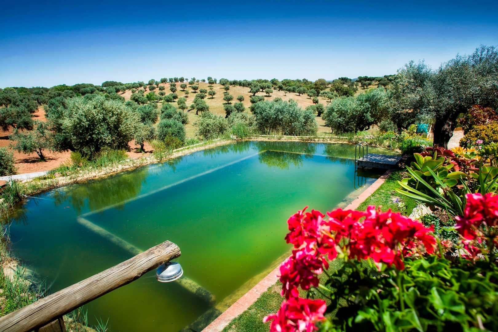 CASA DO ALTO DA EIRA