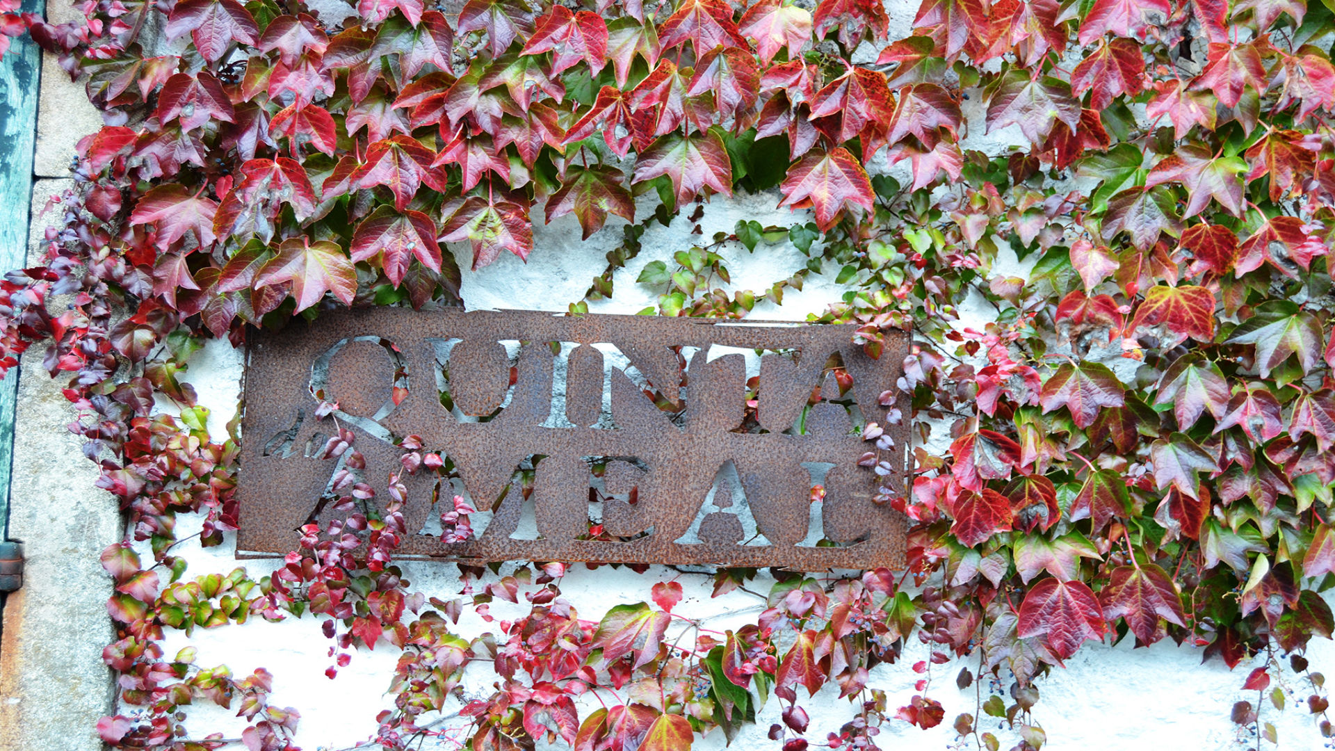 QUINTA DO AMEAL - ENOTURISMO