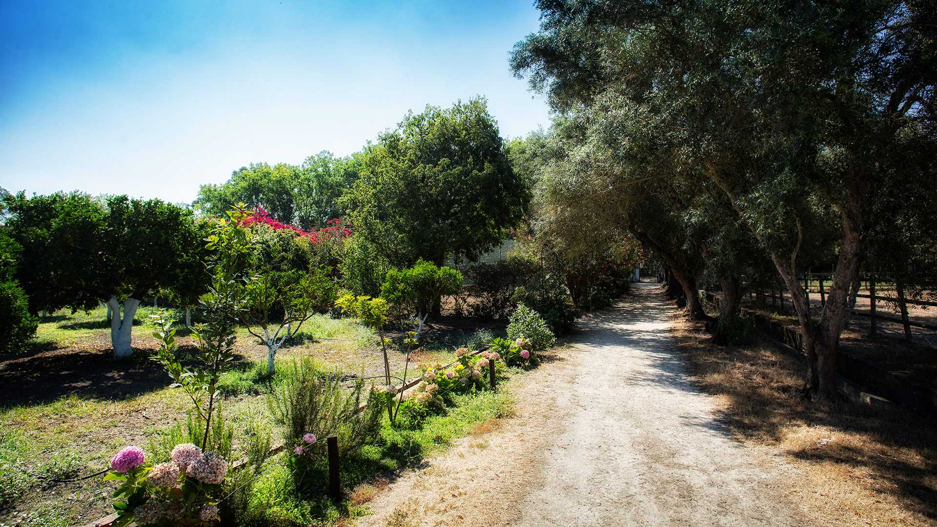 QUINTA DA PRAIA DAS FONTES