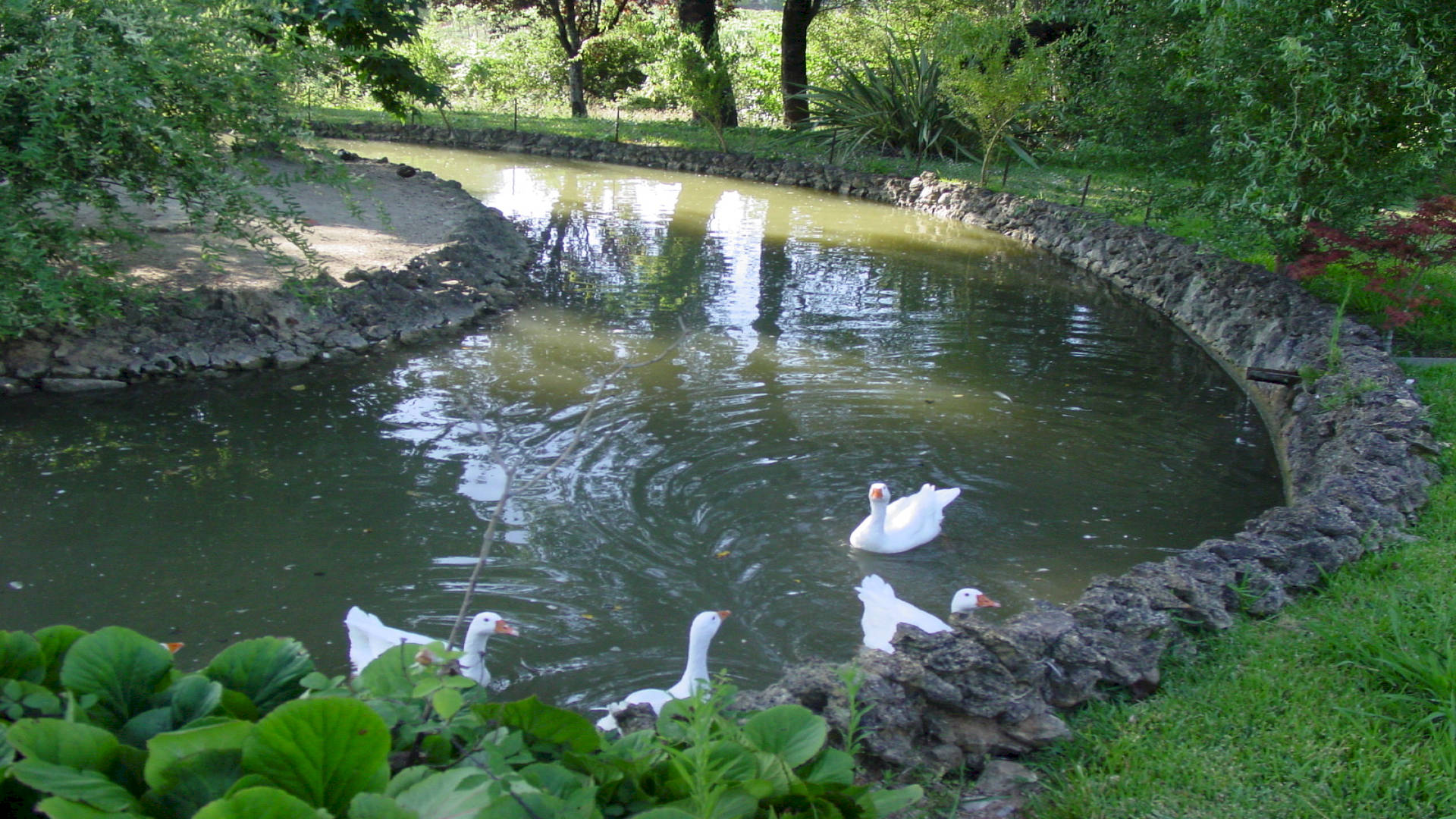 QUINTA DE SÃO LOURENÇO