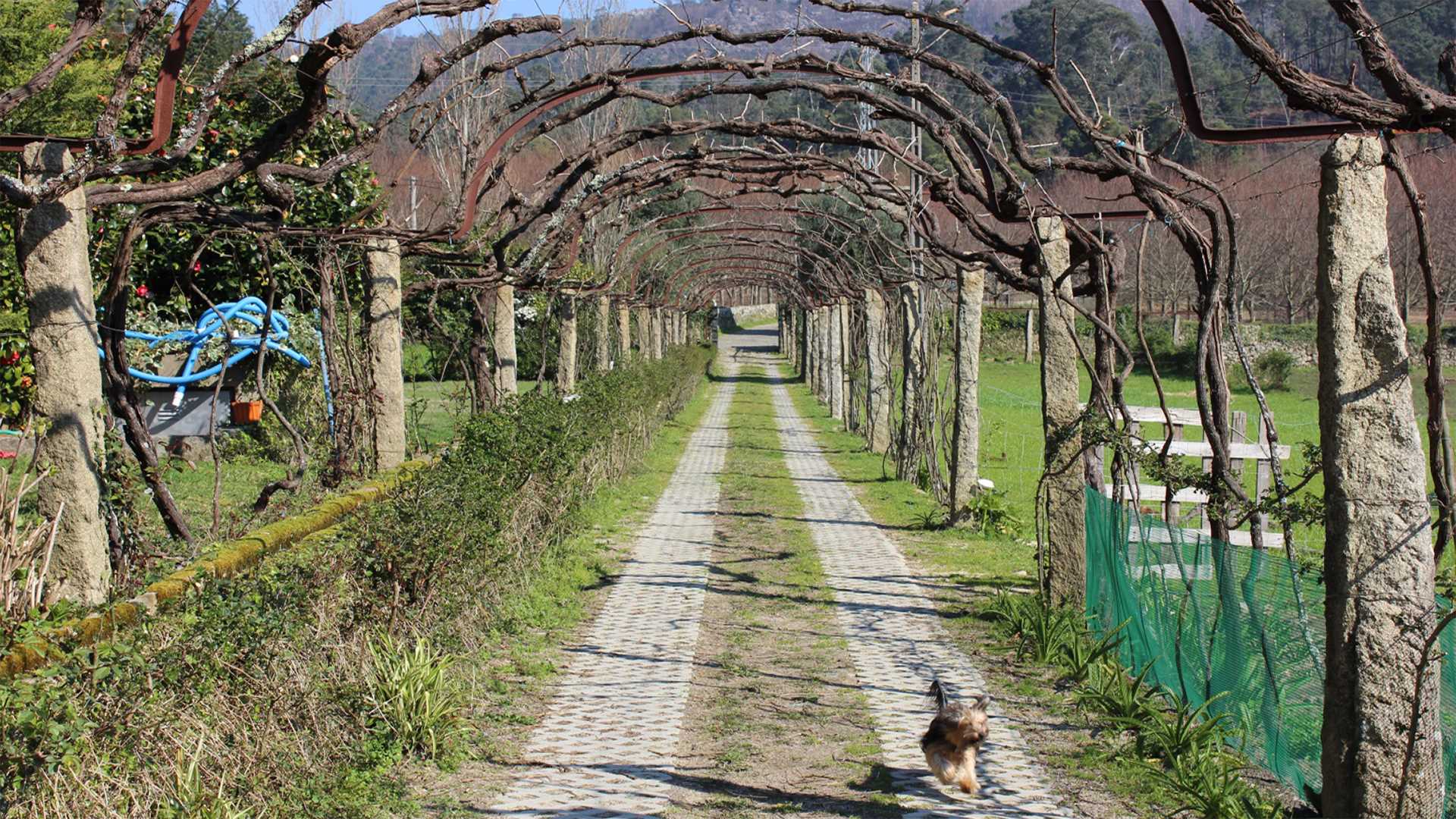QUINTA DO SOBREIRO DA FACHA