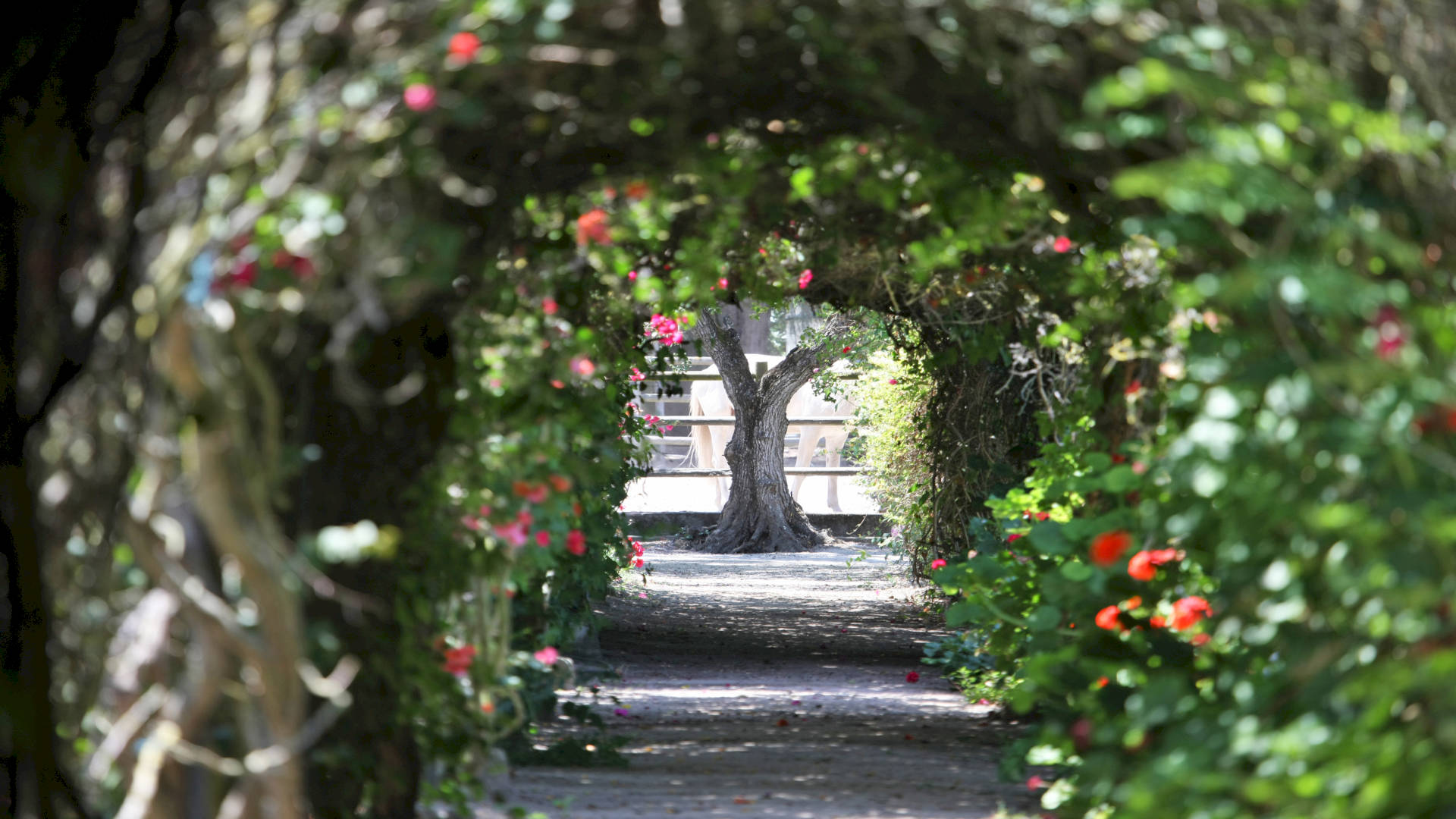 QUINTA DA PRAIA DAS FONTES