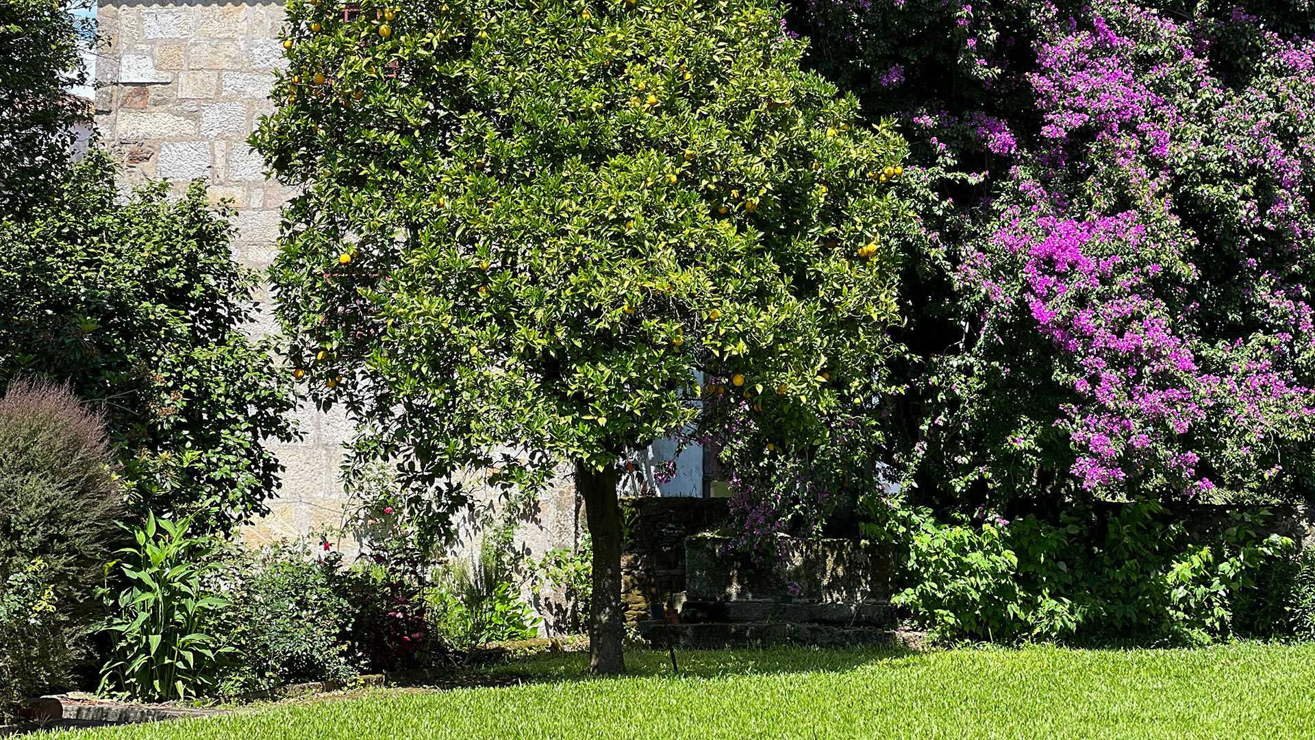 Casa de Nossa Senhora da Piedade